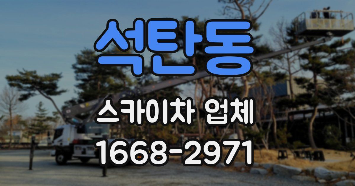 석탄동 스카이차 업체