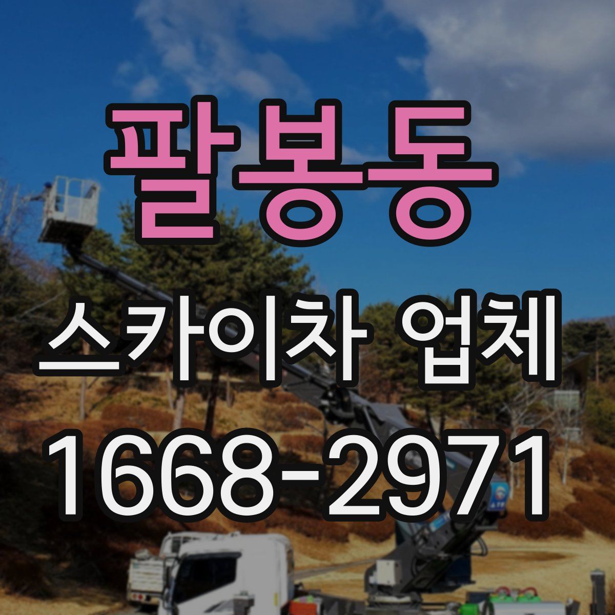 팔봉동 스카이차 업체