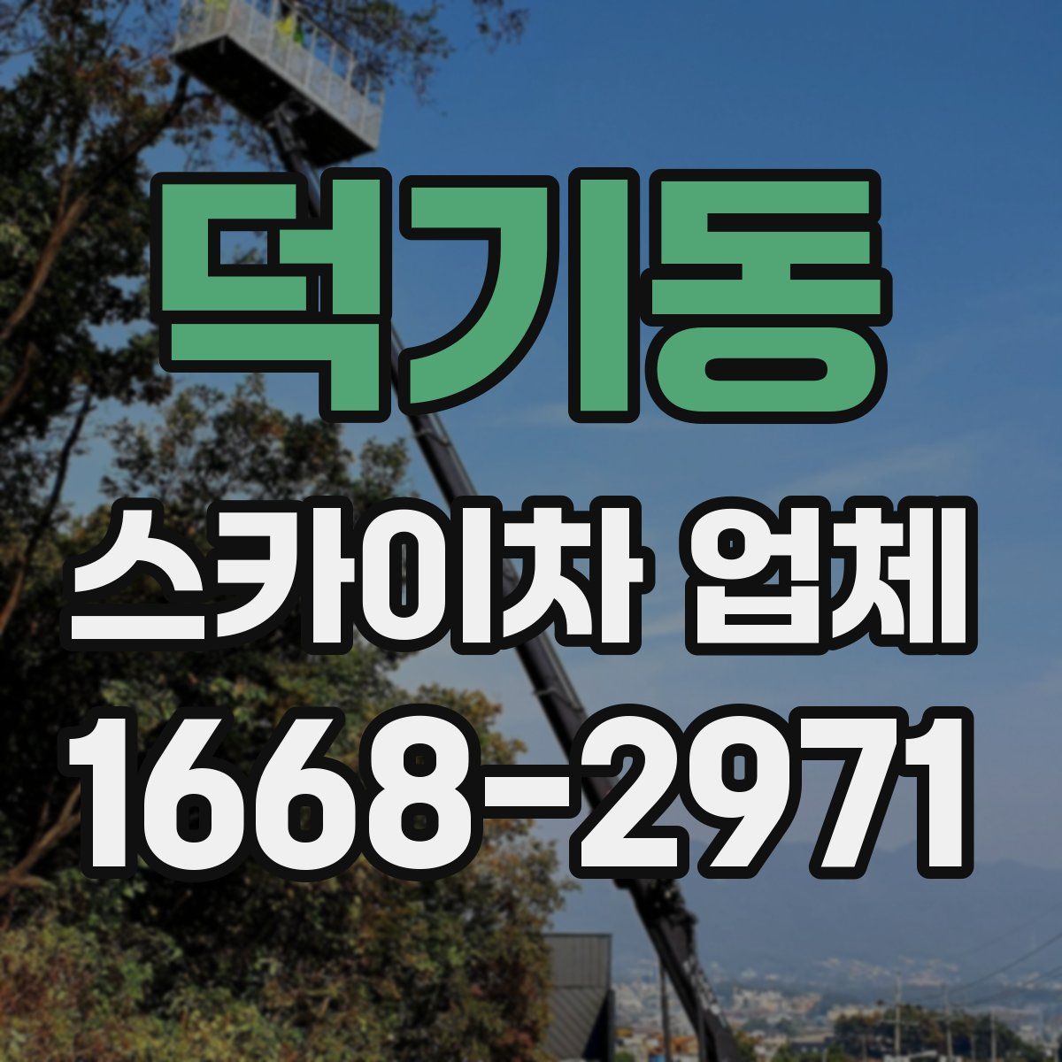 덕기동 스카이차 업체