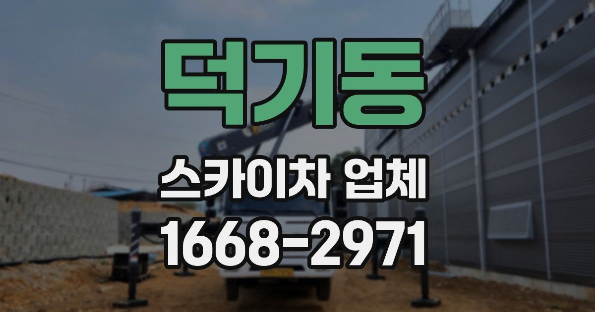 덕기동 스카이차 업체