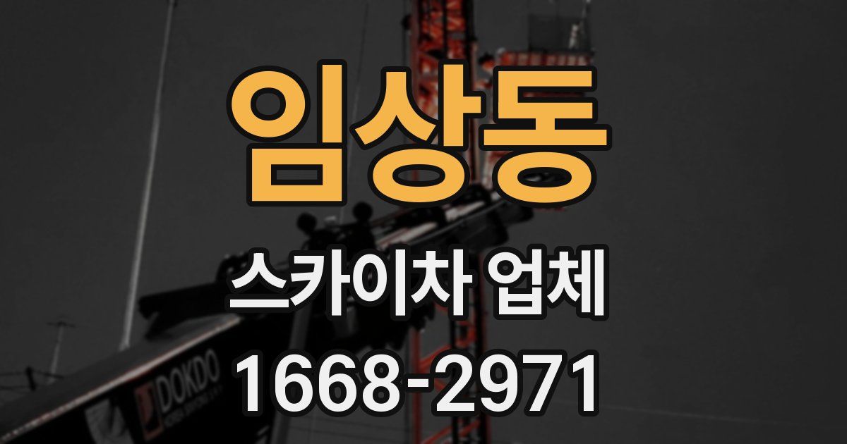 임상동 스카이차 업체