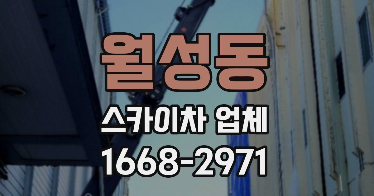 월성동 스카이차 업체