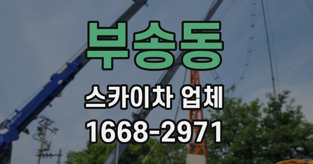 부송동 스카이차 업체