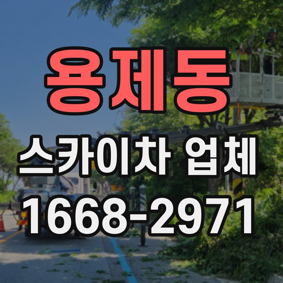 용제동 스카이차 업체