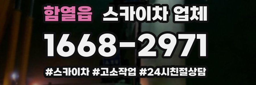 함열읍 스카이차 업체