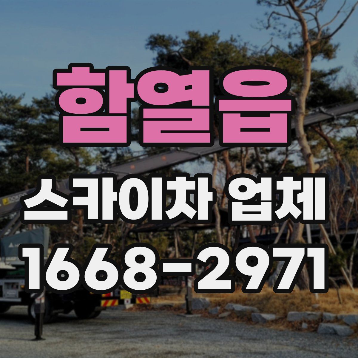 함열읍 스카이차 업체