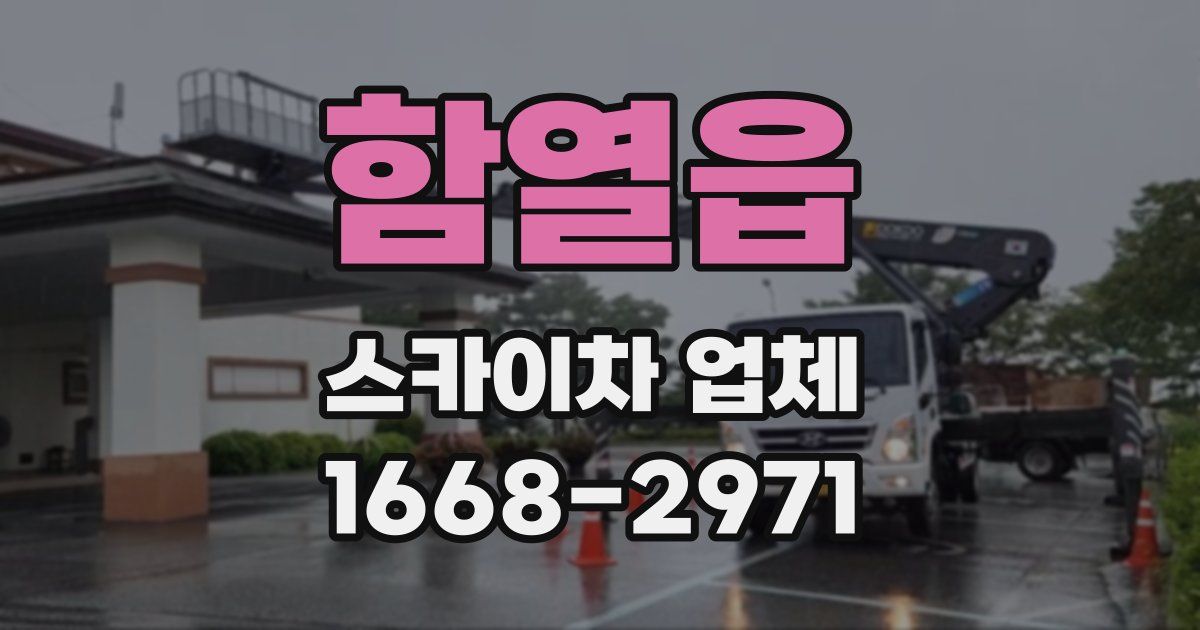 함열읍 스카이차 업체