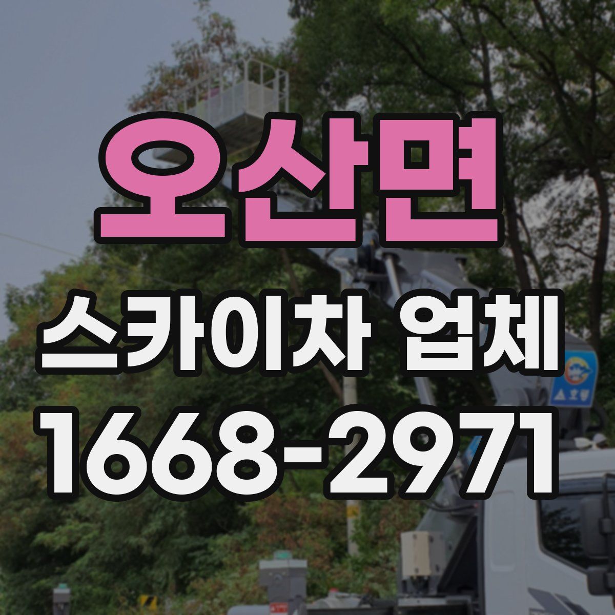 오산면 스카이차 업체