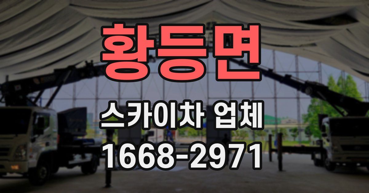 황등면 스카이차 업체