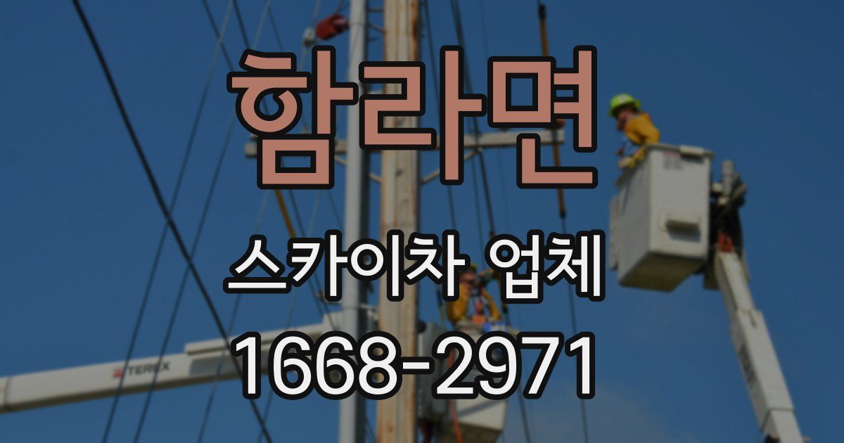 함라면 스카이차 업체