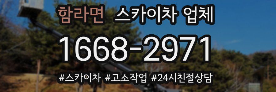 함라면 스카이차 업체