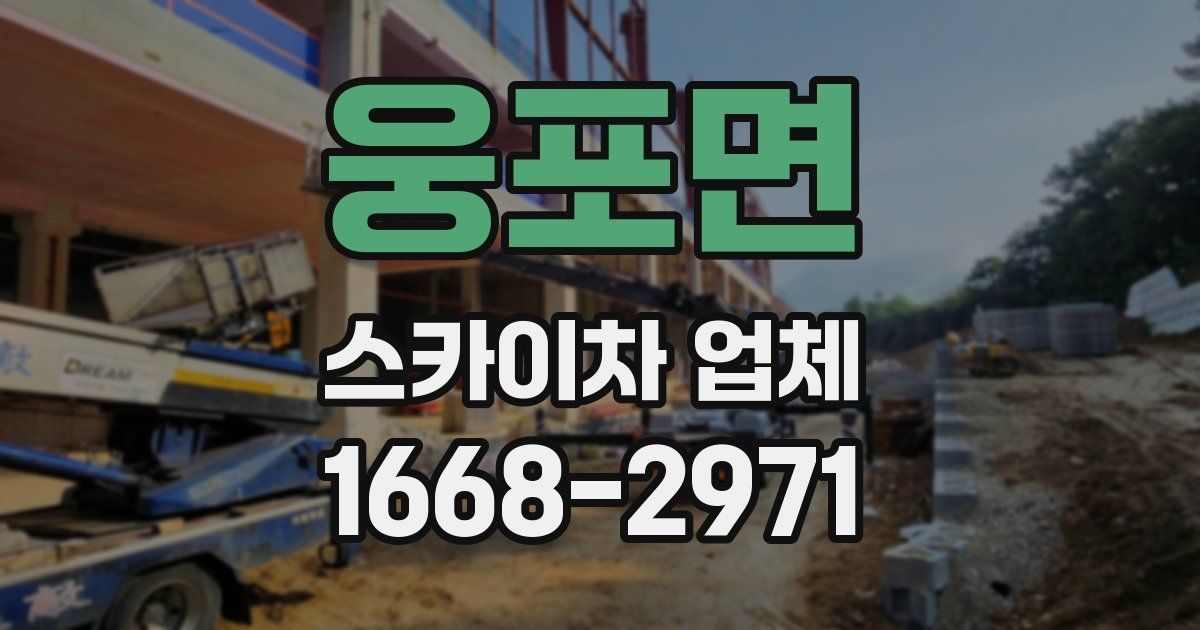 웅포면 스카이차 업체