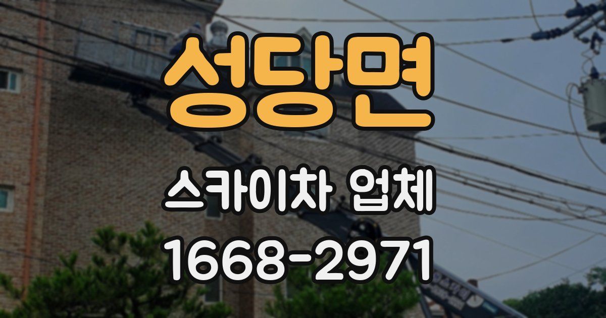 성당면 스카이차 업체