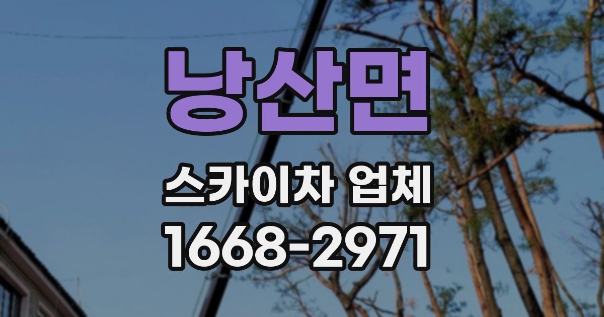 낭산면 스카이차 업체