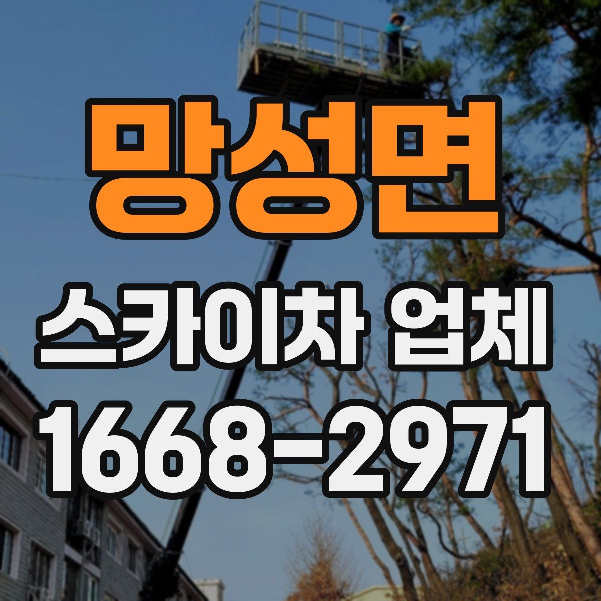 망성면 스카이차 업체