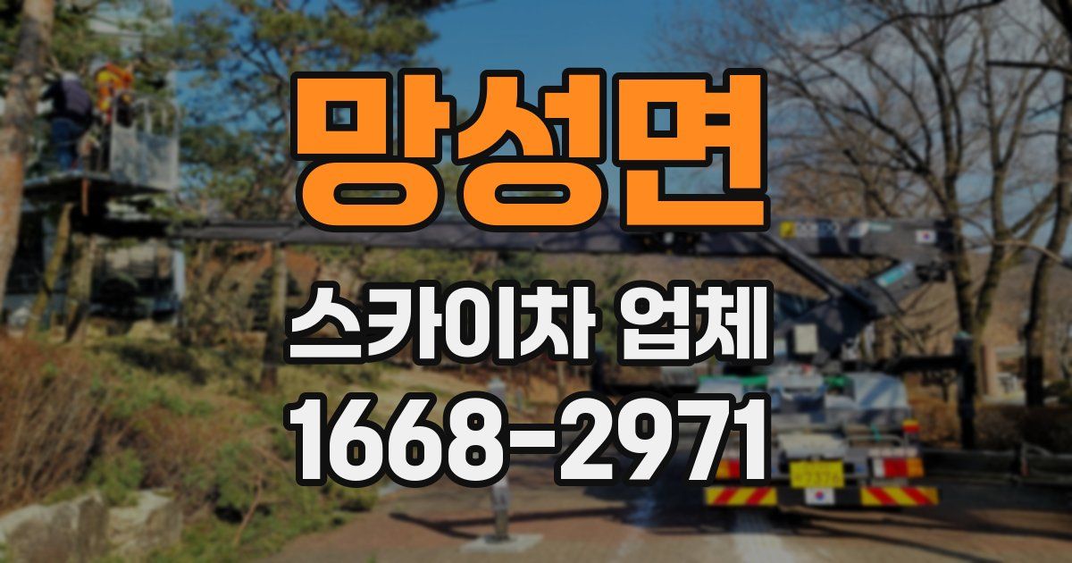 망성면 스카이차 업체