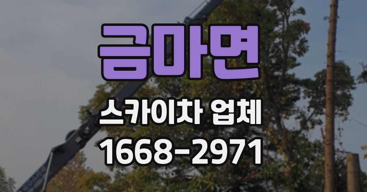 금마면 스카이차 업체