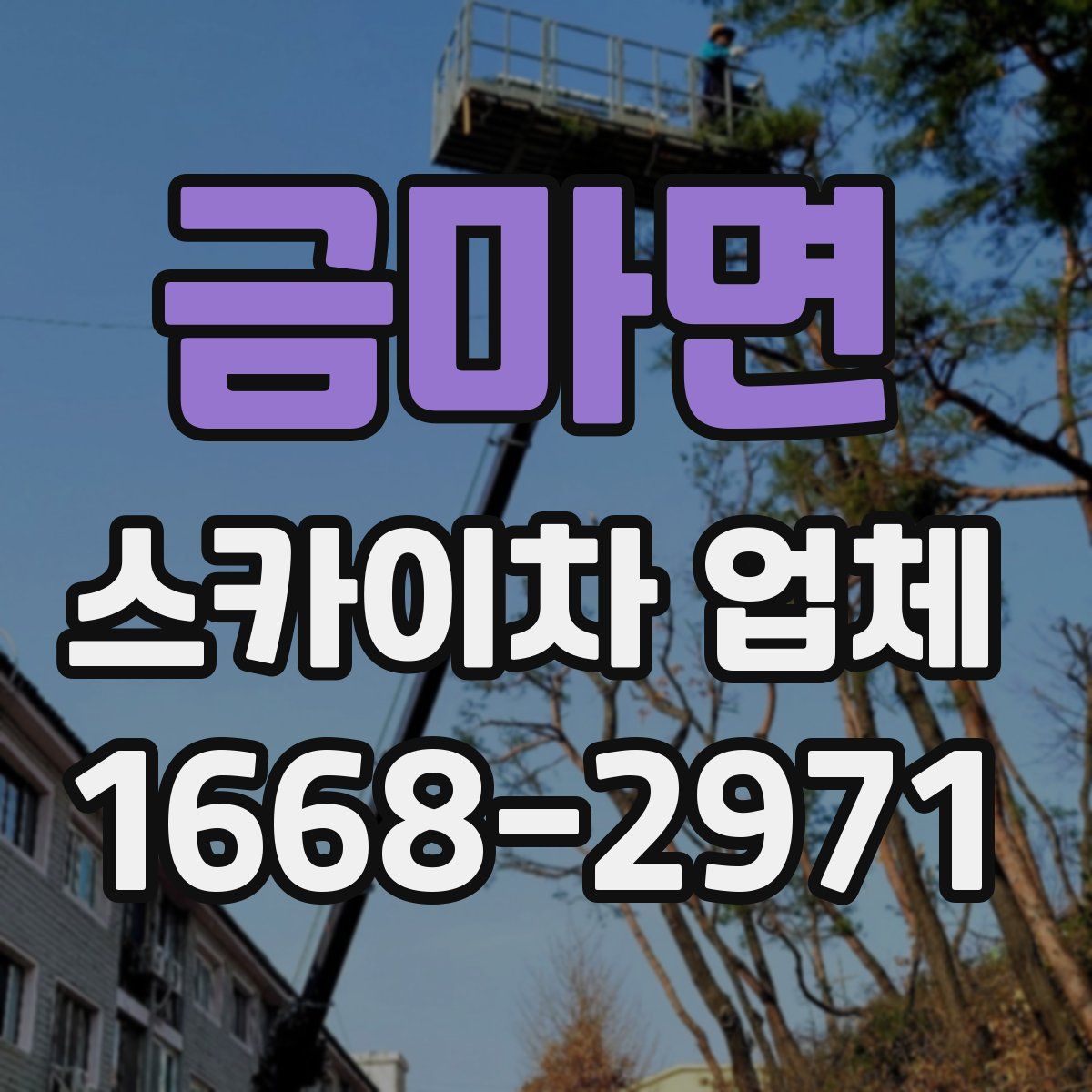 금마면 스카이차 업체