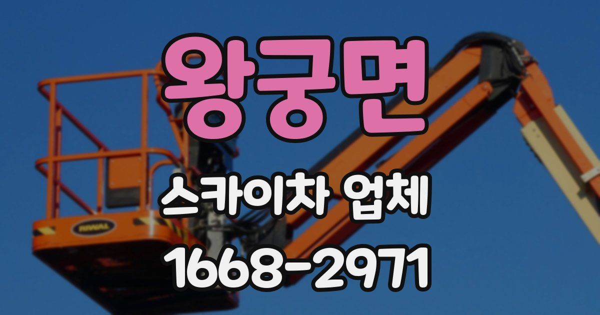 왕궁면 스카이차 업체