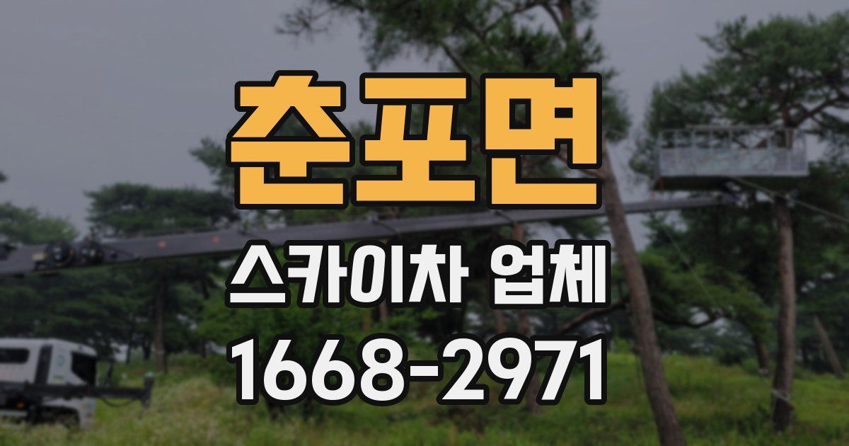 춘포면 스카이차 업체