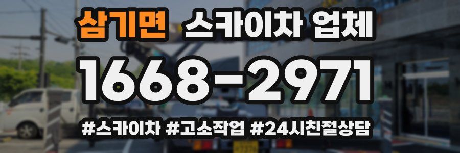 삼기면 스카이차 업체