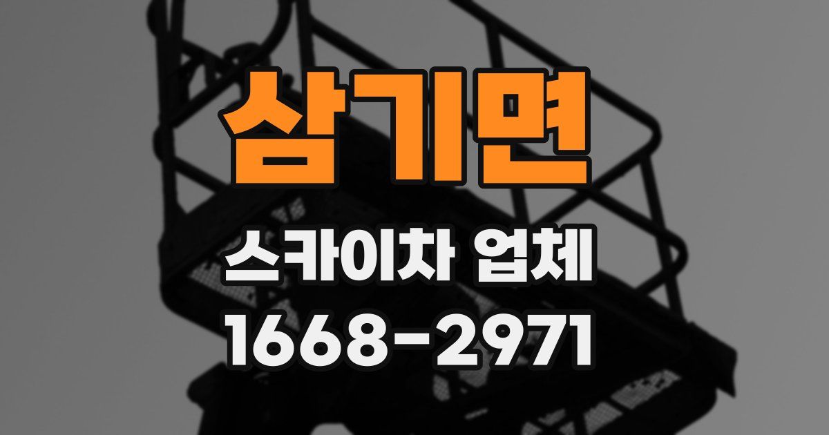 삼기면 스카이차 업체
