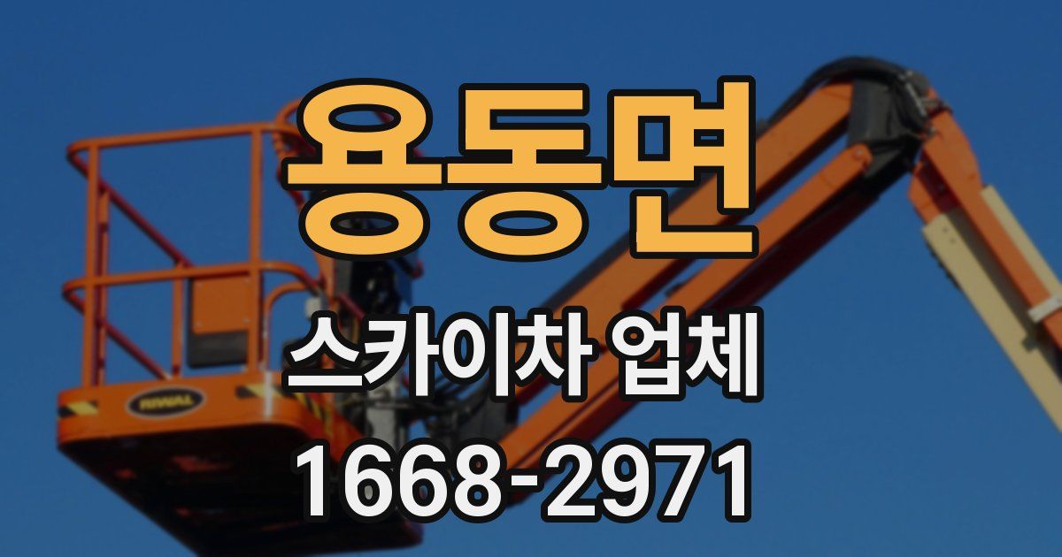 용동면 스카이차 업체