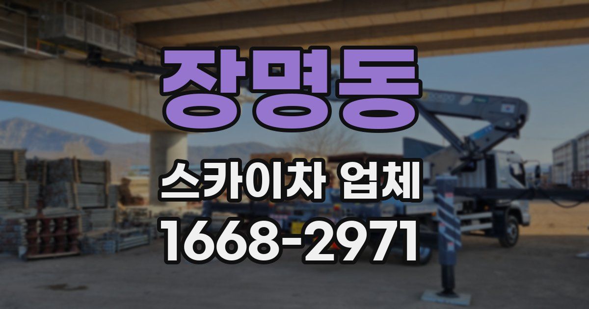 장명동 스카이차 업체
