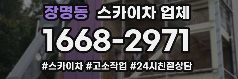 장명동 스카이차 업체