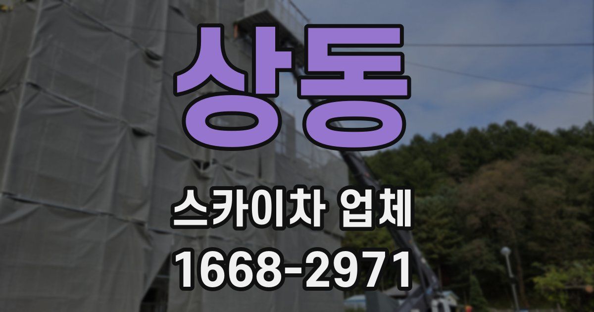 상동 스카이차 업체