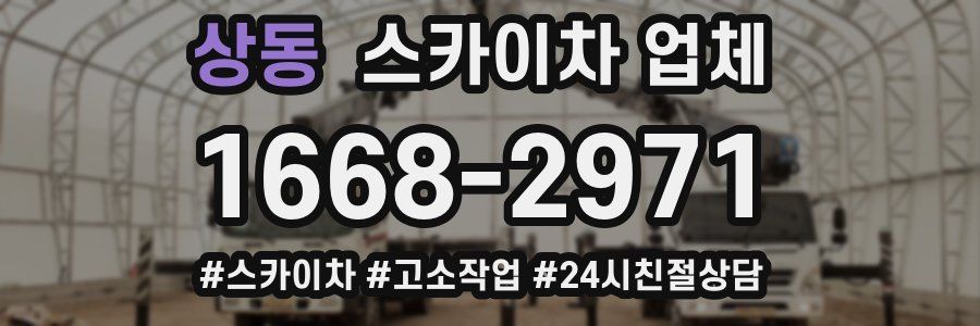 상동 스카이차 업체