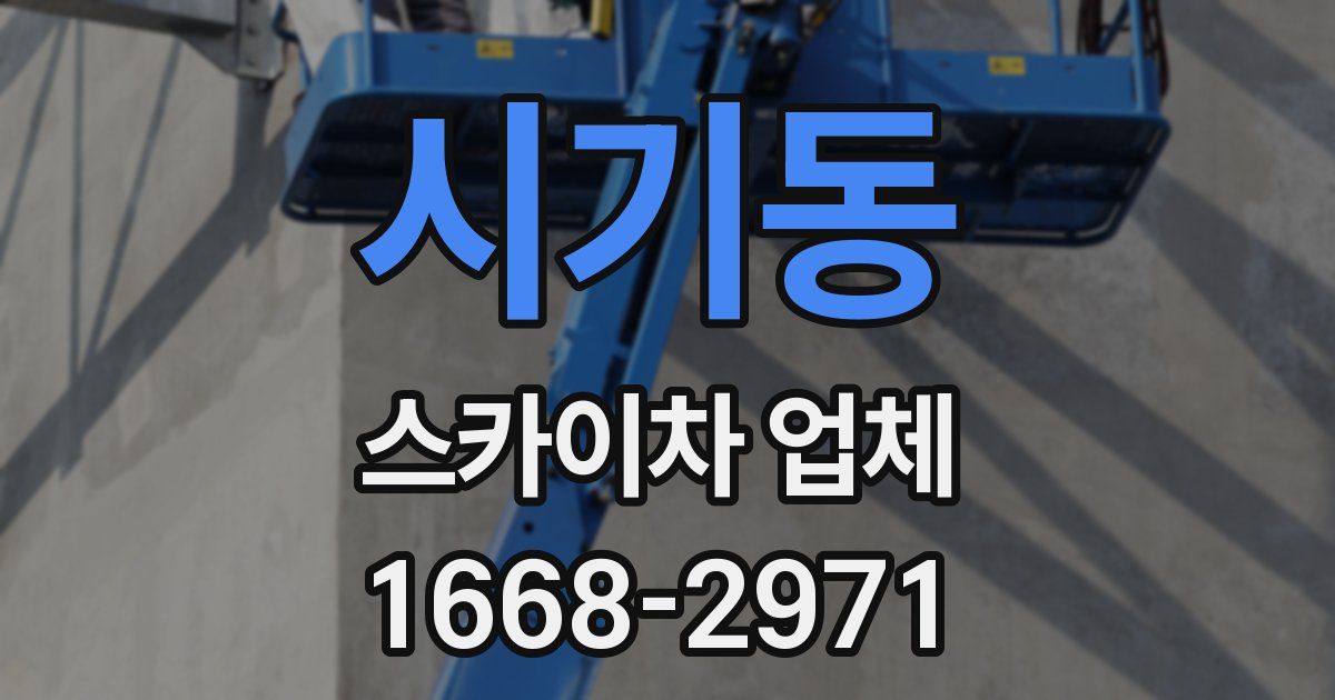 시기동 스카이차 업체