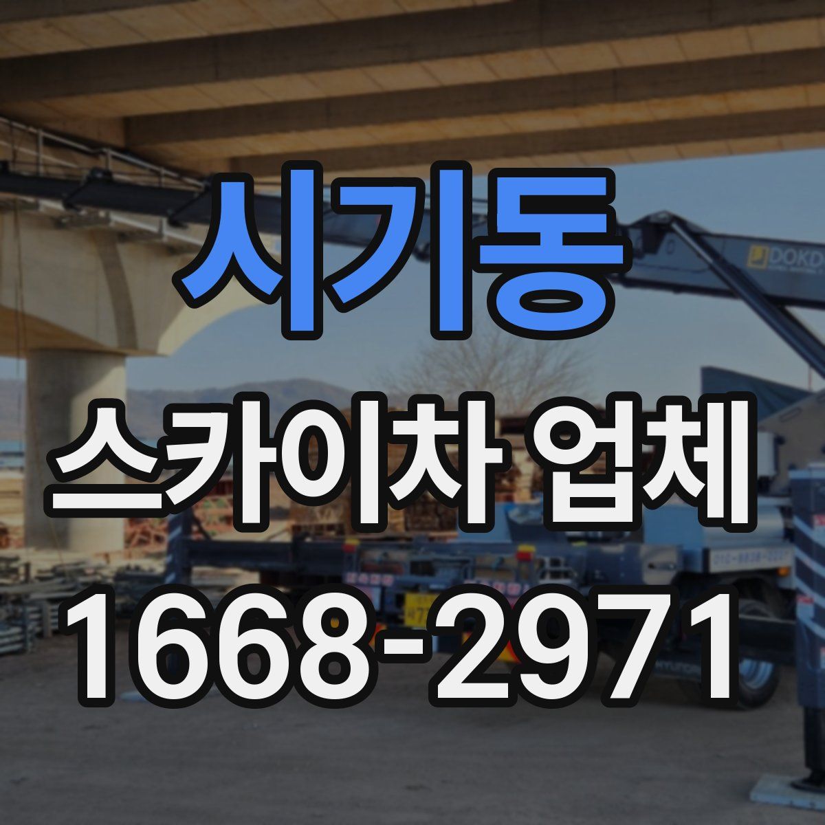 시기동 스카이차 업체