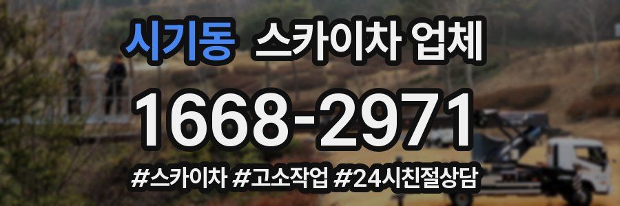 시기동 스카이차 업체