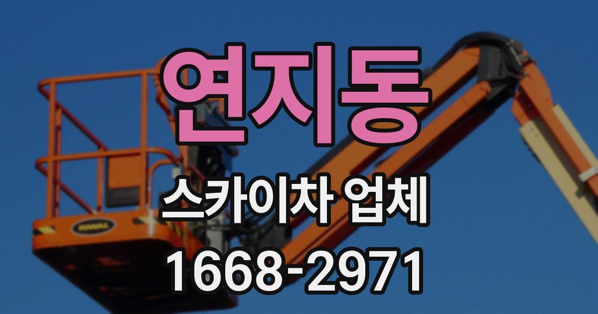 연지동 스카이차 업체