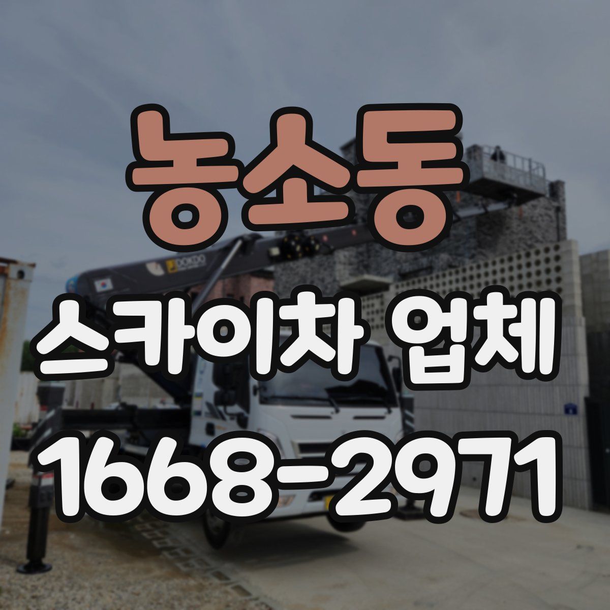 농소동 스카이차 업체