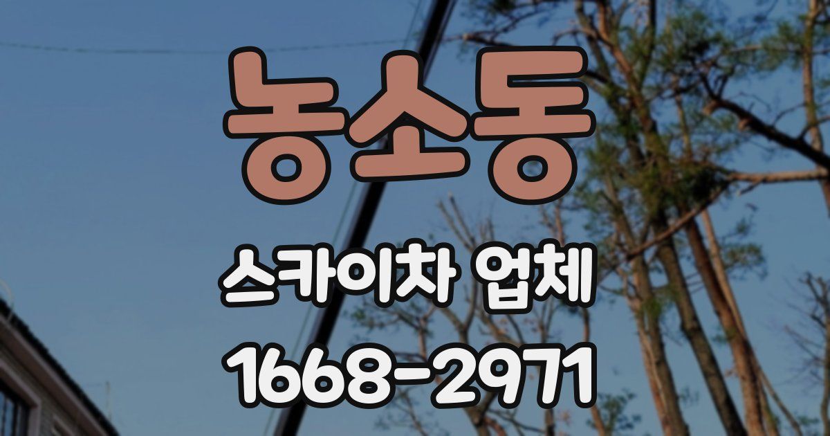 농소동 스카이차 업체