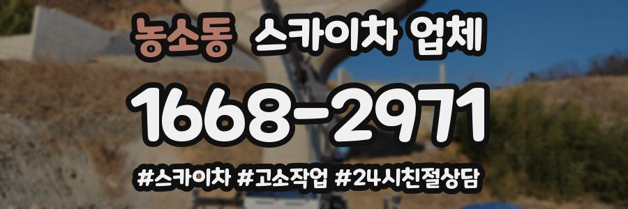농소동 스카이차 업체