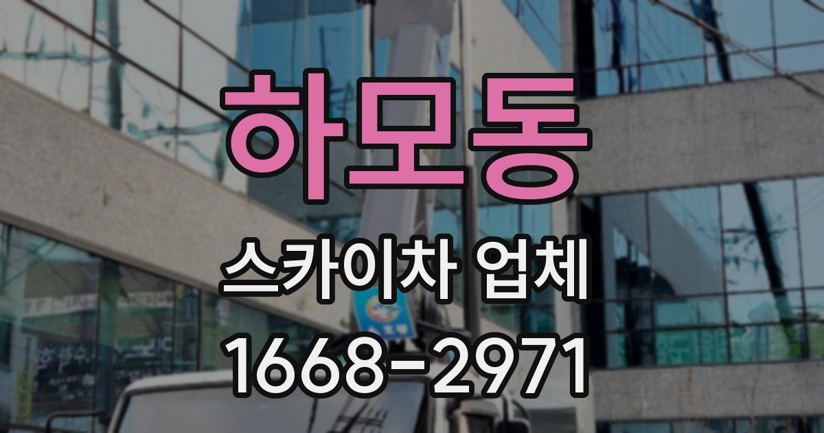 하모동 스카이차 업체