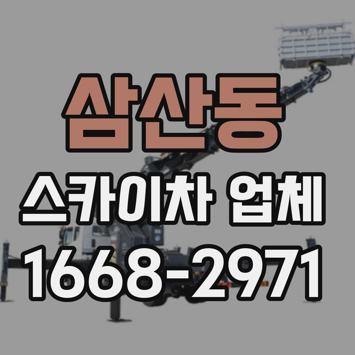 삼산동 스카이차 업체