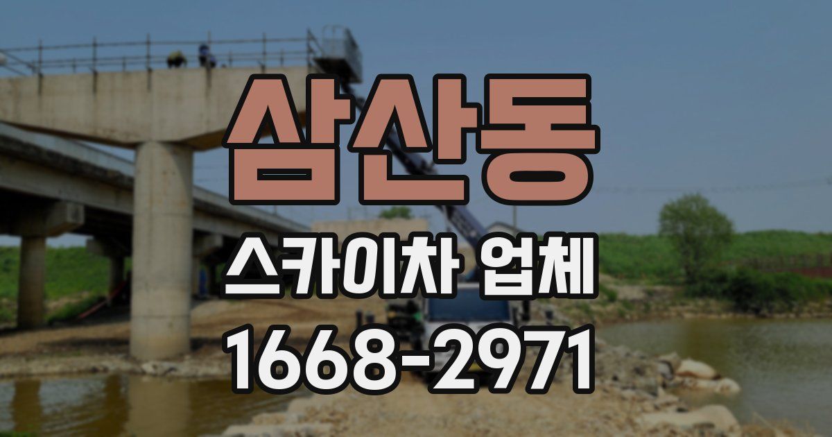 삼산동 스카이차 업체