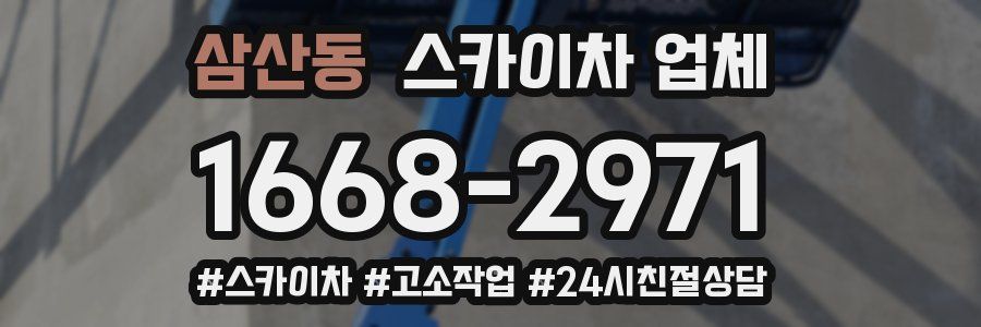 삼산동 스카이차 업체