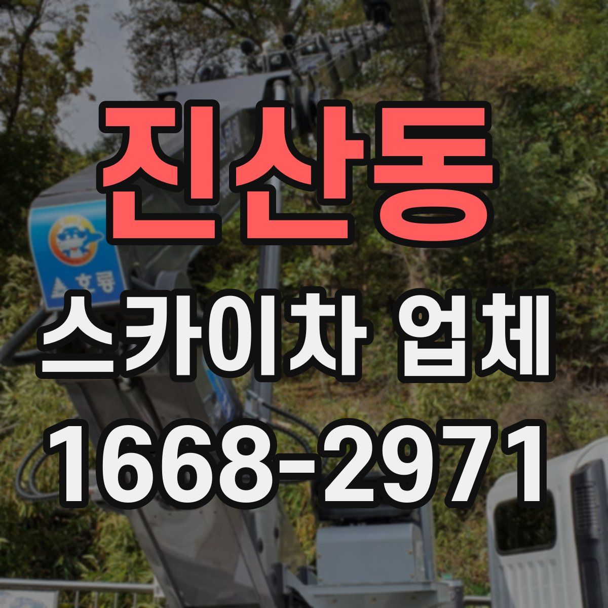 진산동 스카이차 업체