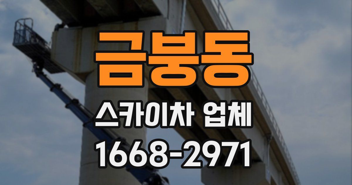 금붕동 스카이차 업체