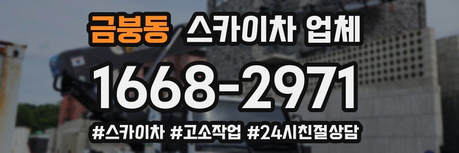 금붕동 스카이차 업체