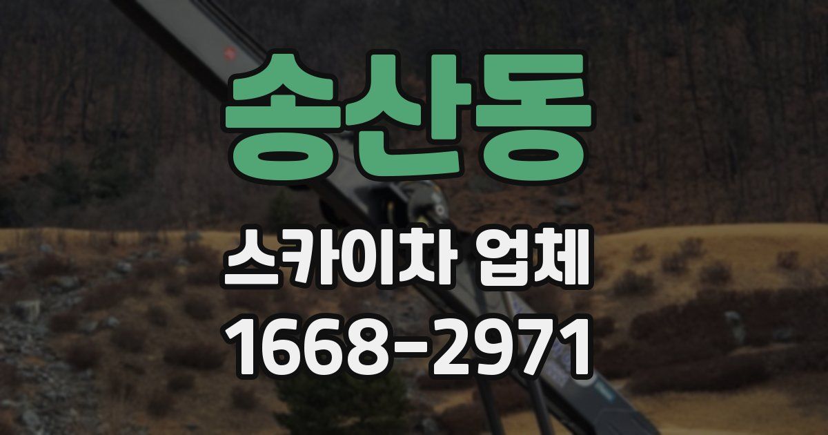 송산동 스카이차 업체