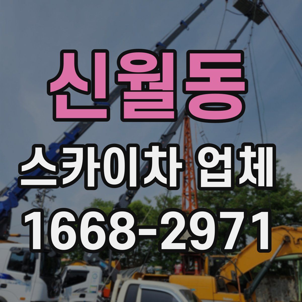 신월동 스카이차 업체