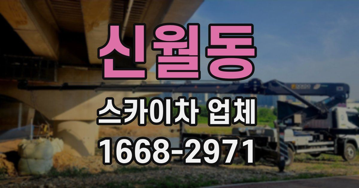 신월동 스카이차 업체