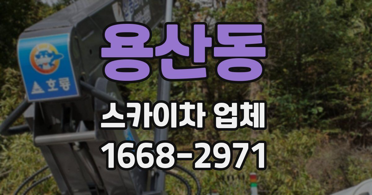 용산동 스카이차 업체