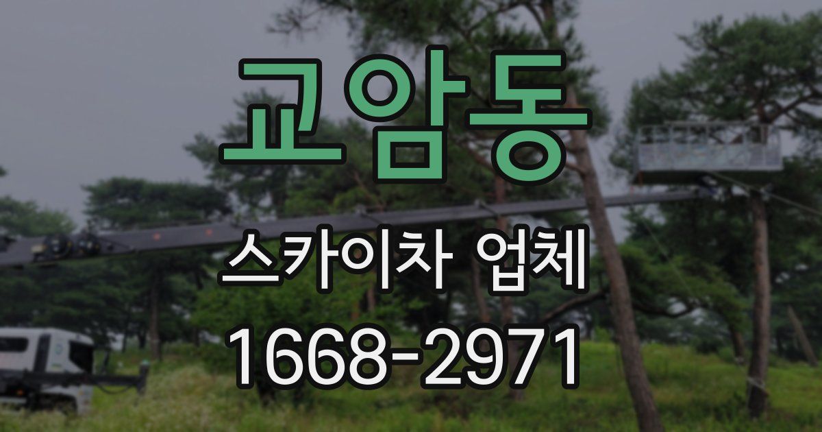 교암동 스카이차 업체